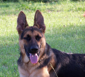 100_6264.jpg